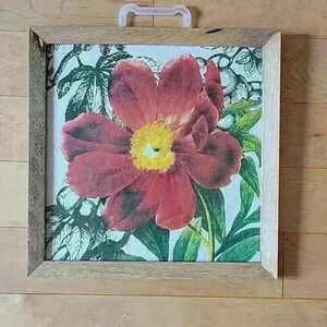 Treshold-Red Poppy Wall Art